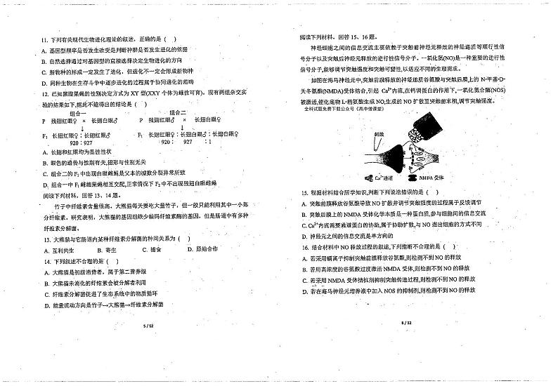 天津市南开中学2022-2023学年高三下学期第四次月考生物试题第3页