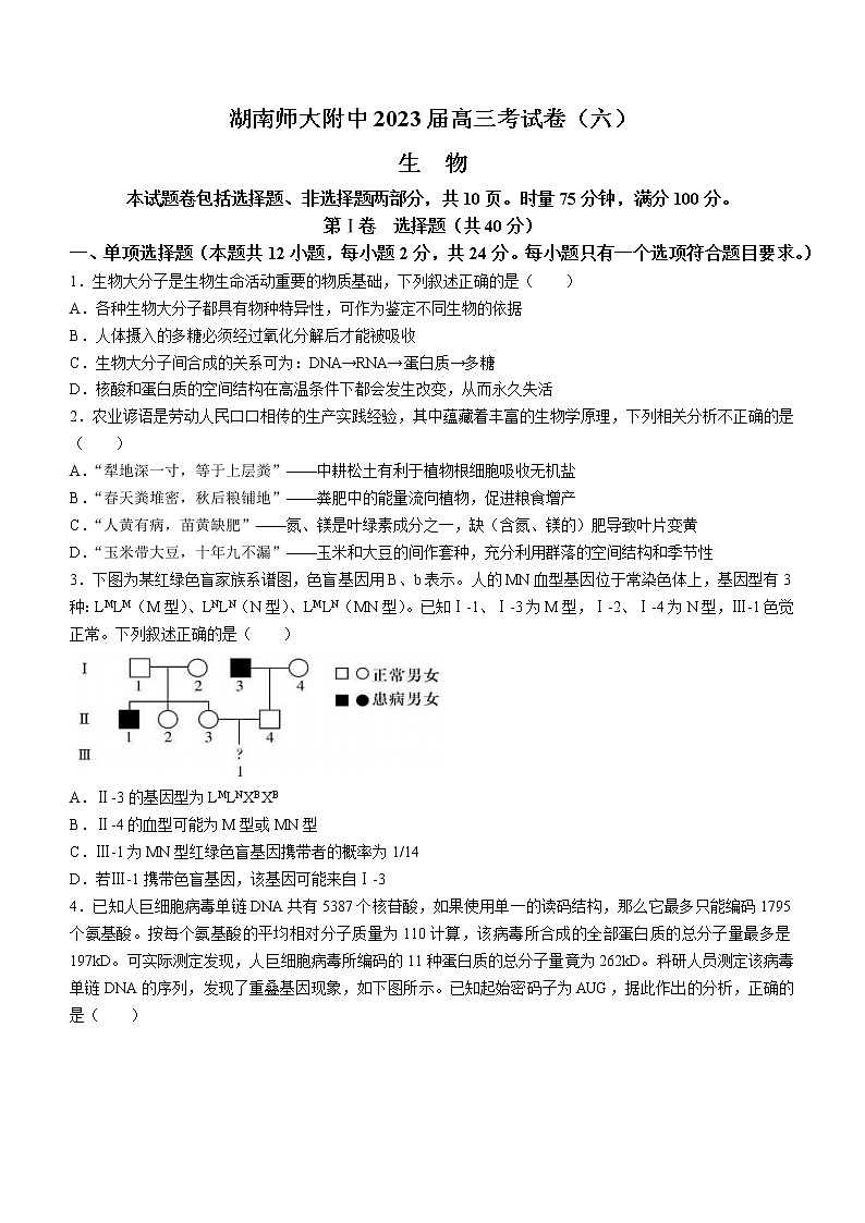 2023湖南师大附中高三下学期考试卷（六）生物含解析第1页