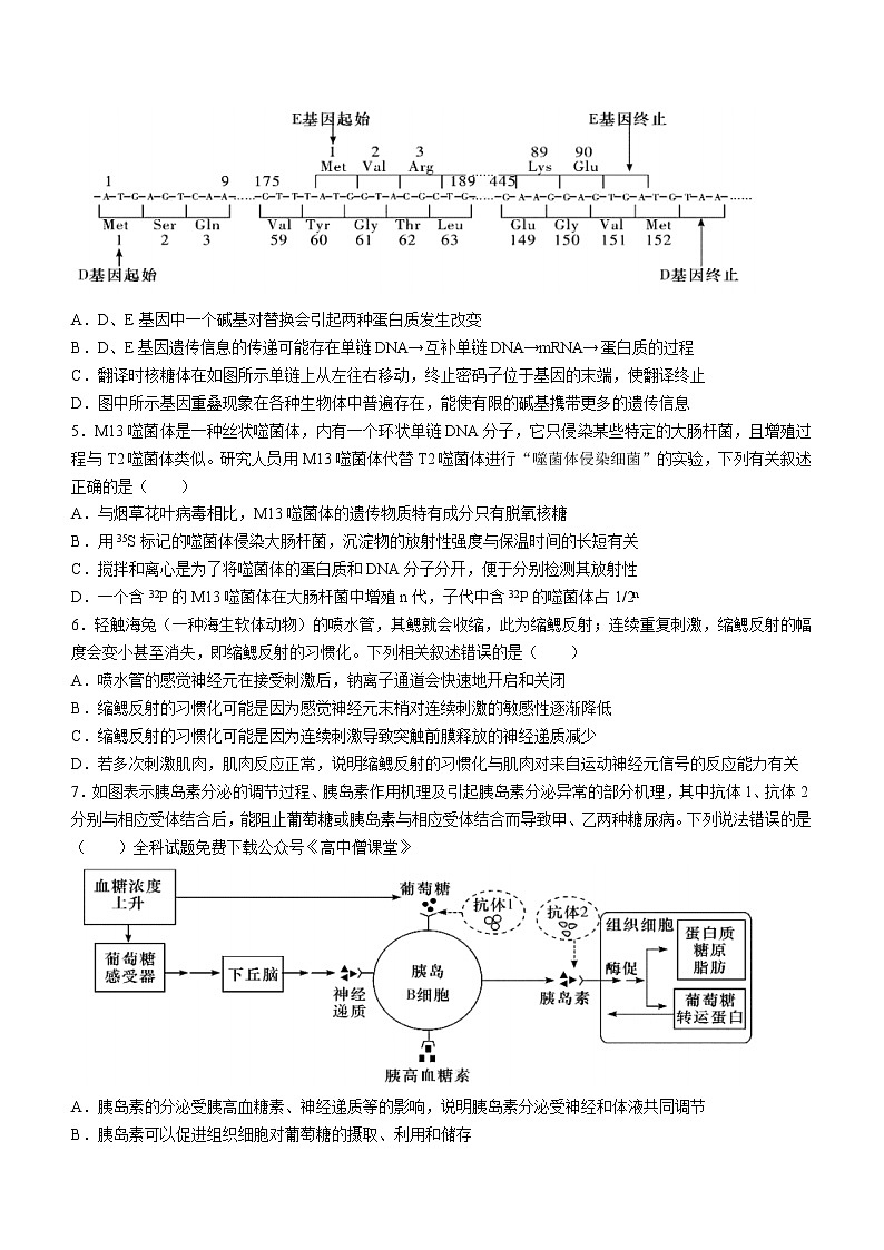 2023湖南师大附中高三下学期考试卷（六）生物含解析第2页