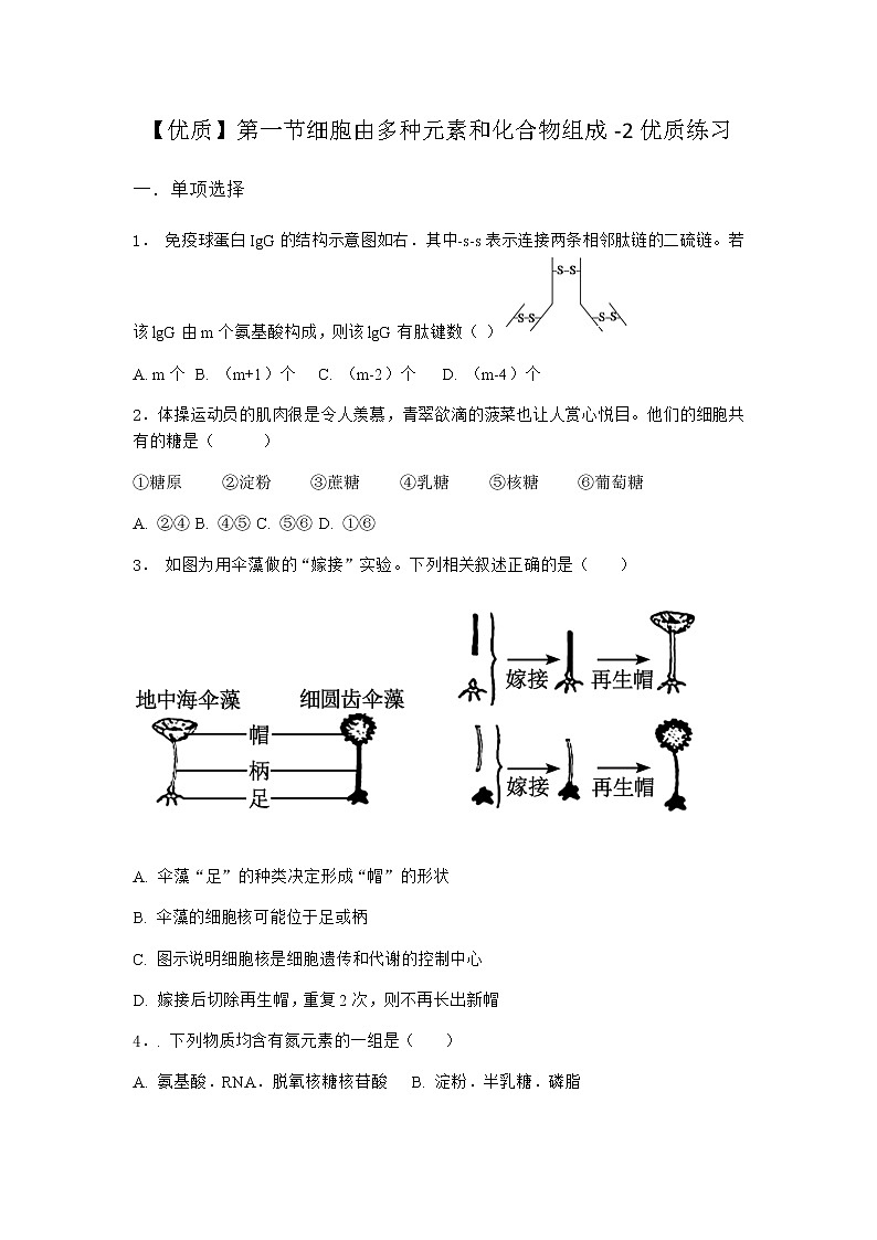 沪教版高中生物必修1第一节细胞由多种元素和化合物组成优质作业含答案201