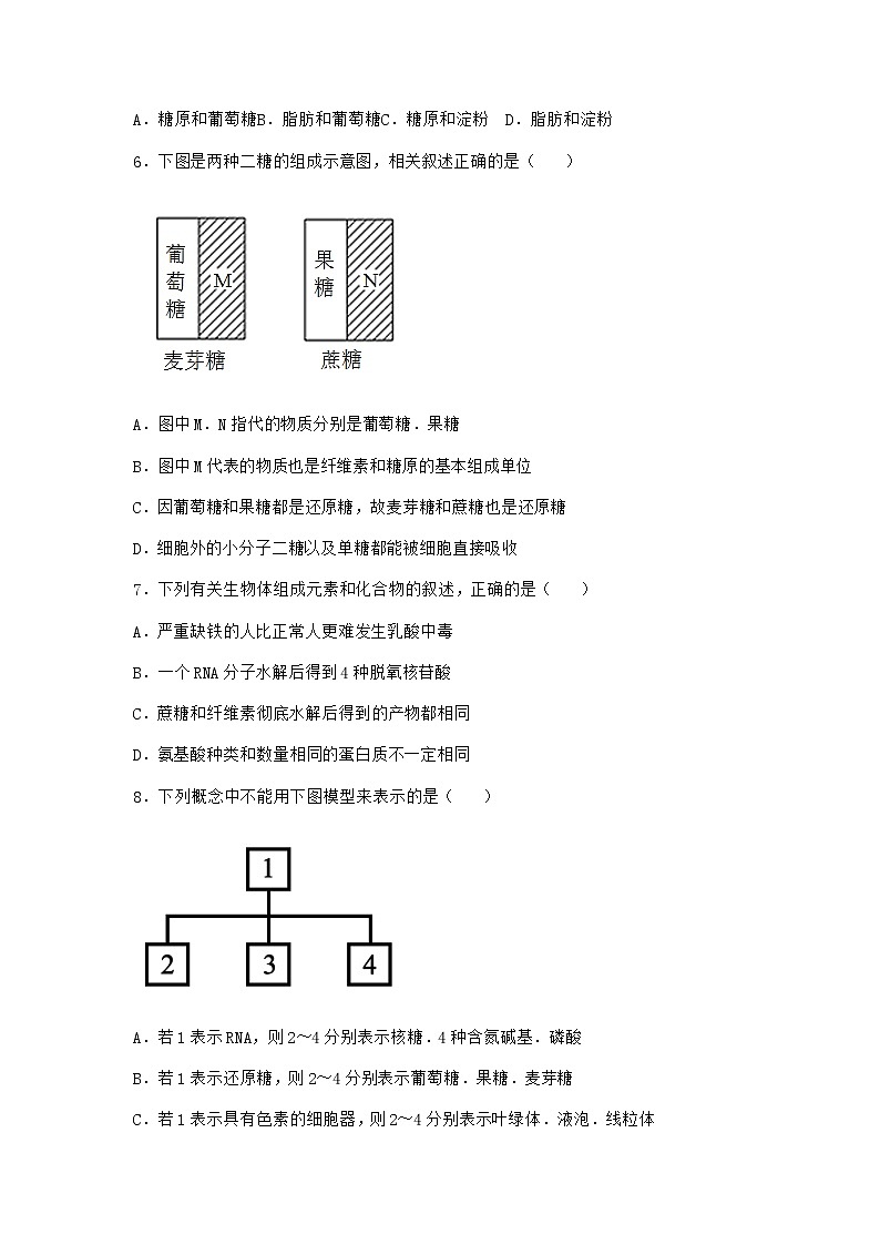 沪教版高中生物必修1第三节糖类和脂质对细胞的结构和功能具有重要作用优质作业含答案2第2页