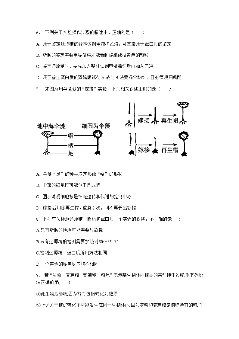 沪教版高中生物必修1第二节水和无机盐在生命活动中具有重要作用优质作业含答案1第3页