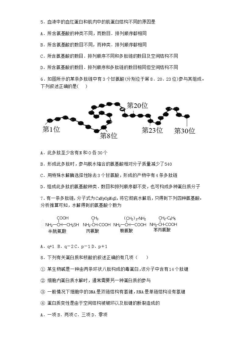 沪教版高中生物必修1第四节细胞的功能主要由蛋白质完成优质作业含答案102