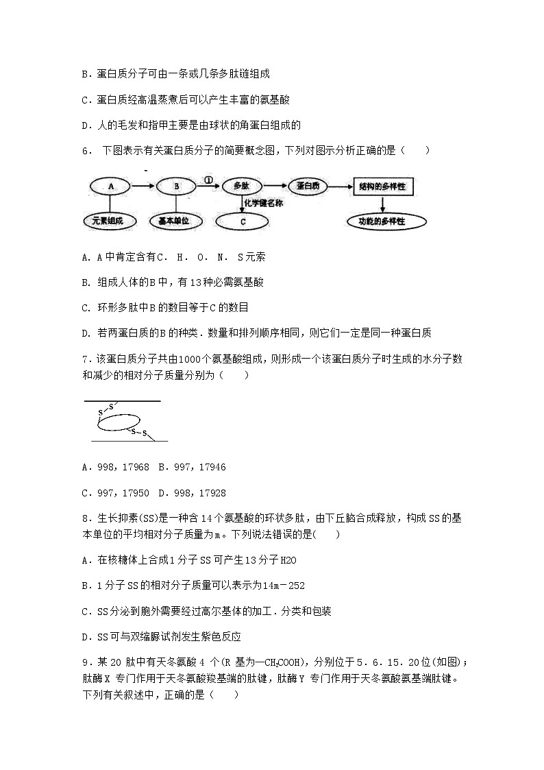 沪教版高中生物必修1第四节细胞的功能主要由蛋白质完成优质作业含答案2第2页