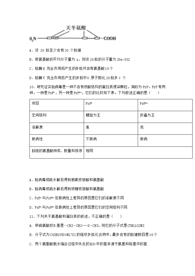 沪教版高中生物必修1第四节细胞的功能主要由蛋白质完成优质作业含答案203