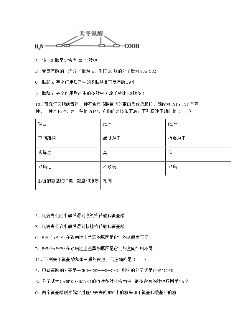 沪教版高中生物必修1第四节细胞的功能主要由蛋白质完成优质作业含答案2第3页