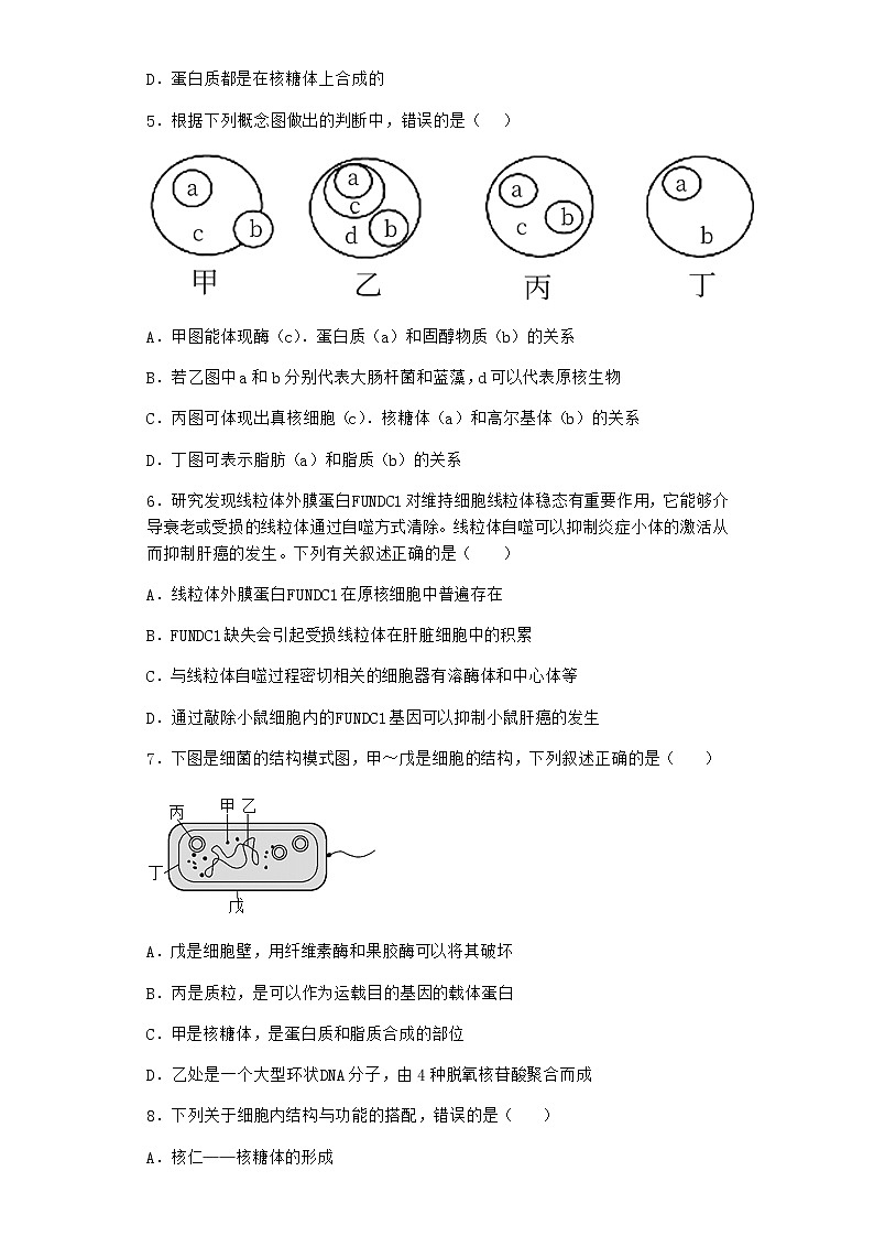 沪教版高中生物必修1第二节细胞内具有许多相对独立的结构优质作业含答案4第2页