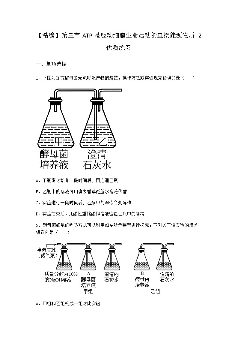 沪教版高中生物必修1第三节ATP是驱动细胞生命活动的直接能源物质优质作业含答案101
