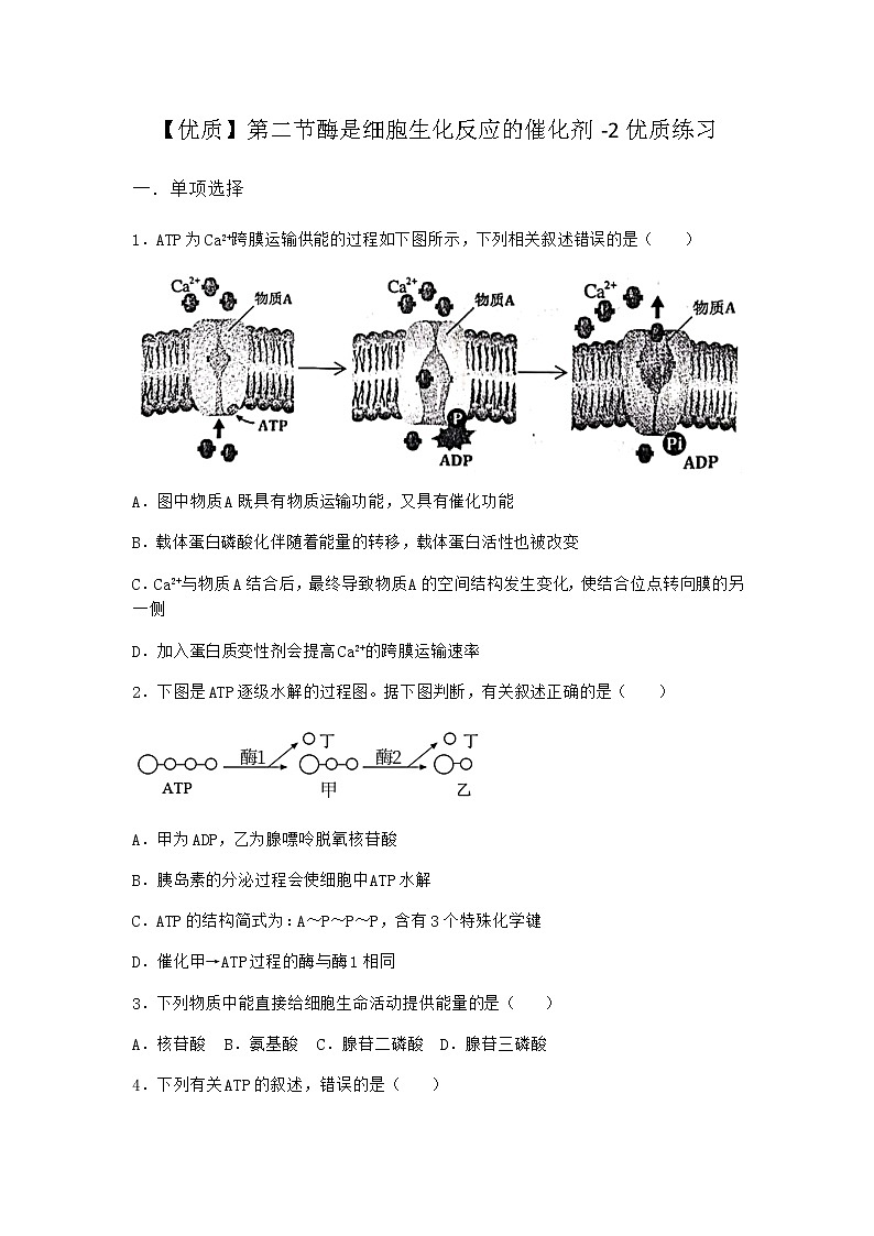 沪教版高中生物必修1第二节酶是细胞生化反应的催化剂优质作业含答案第1页