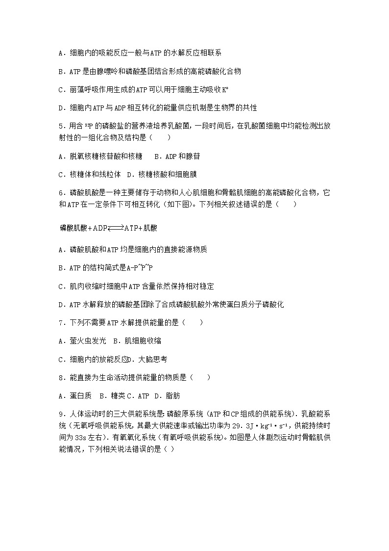 沪教版高中生物必修1第二节酶是细胞生化反应的催化剂优质作业含答案第2页