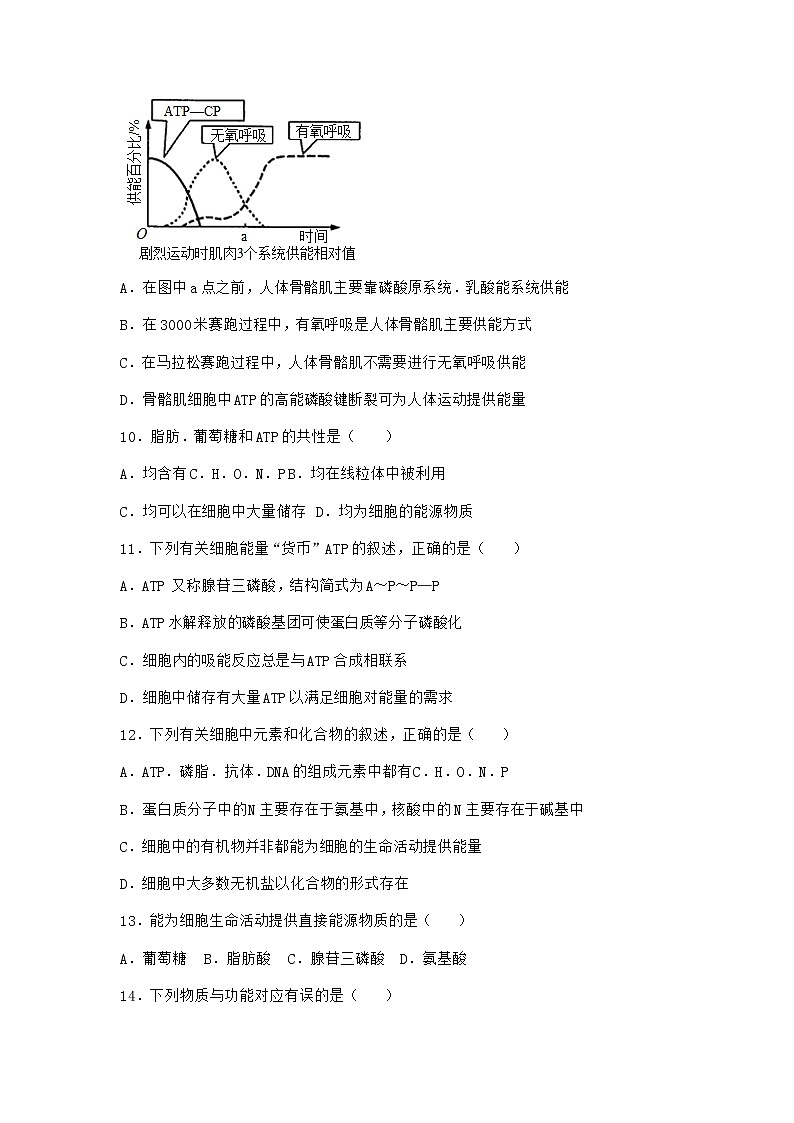 沪教版高中生物必修1第二节酶是细胞生化反应的催化剂优质作业含答案第3页