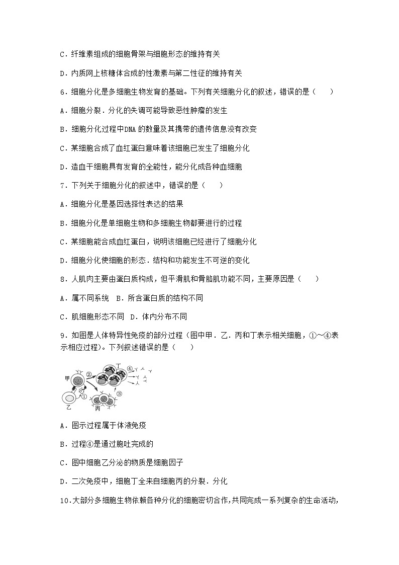 沪教版高中生物必修1第二节细胞会发生特异性分化优质作业含答案1第2页