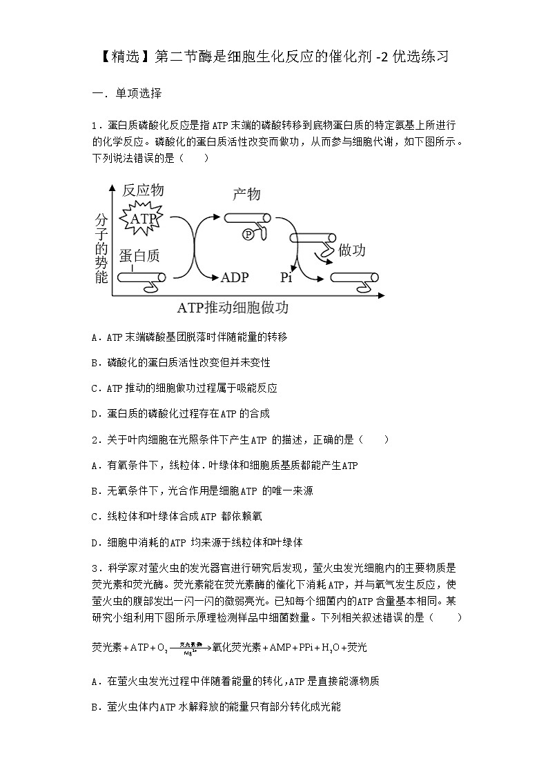 沪教版高中生物必修1第二节酶是细胞生化反应的催化剂优选作业含答案201