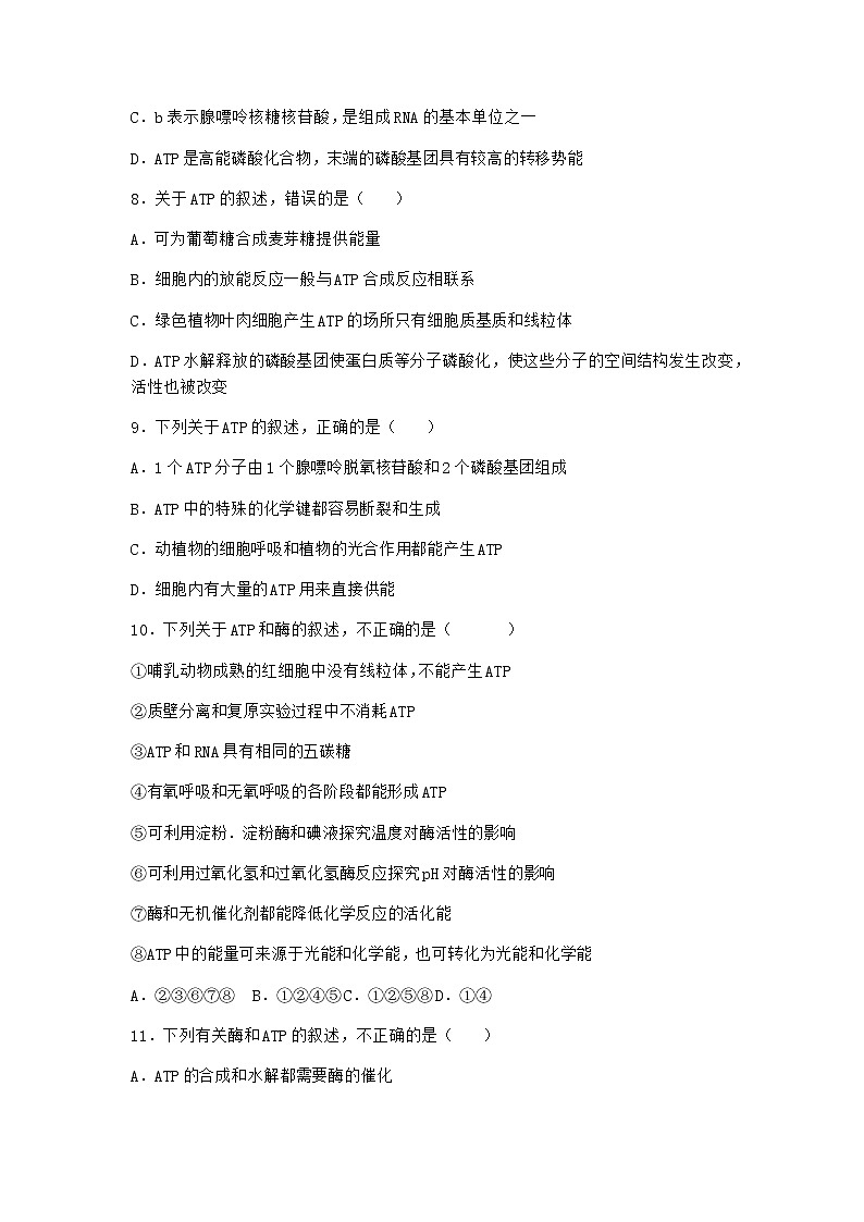 沪教版高中生物必修1第二节酶是细胞生化反应的催化剂优选作业含答案303