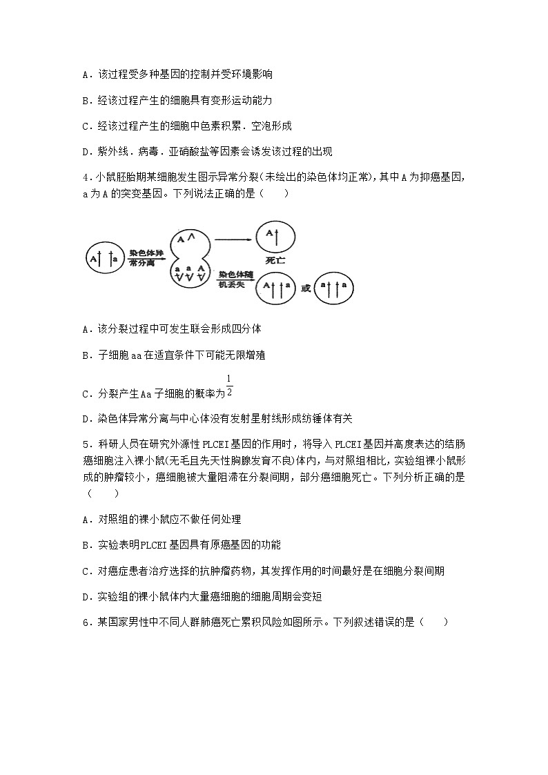沪教版高中生物必修1第四节细胞凋亡是自然的细胞死亡方式优选作业含答案1第2页