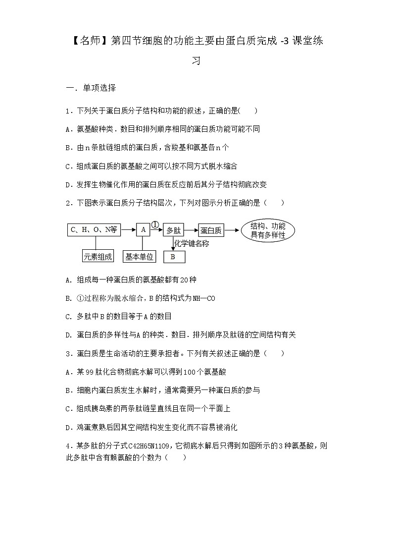 沪教版高中生物必修1第四节细胞的功能主要由蛋白质完成课堂作业含答案第1页