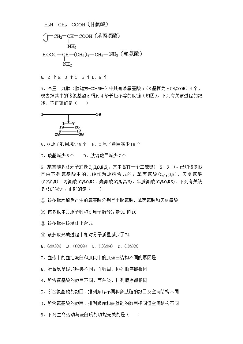 沪教版高中生物必修1第四节细胞的功能主要由蛋白质完成课堂作业含答案第2页