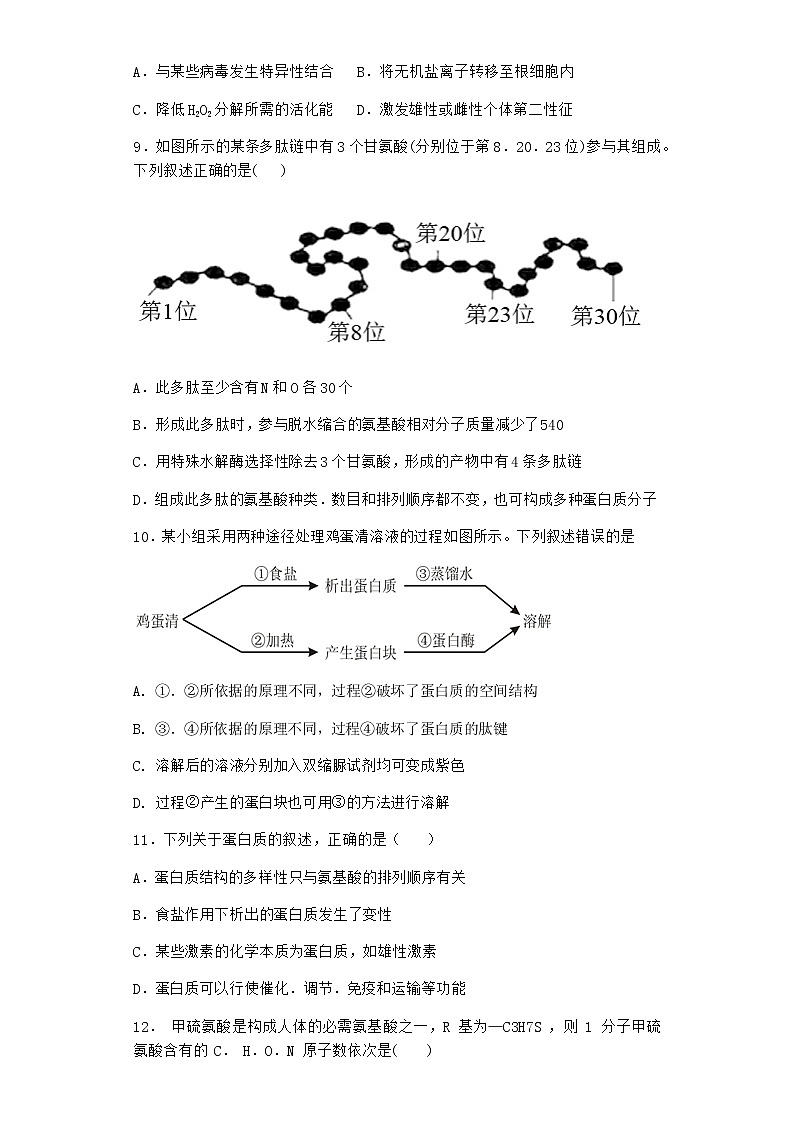 沪教版高中生物必修1第四节细胞的功能主要由蛋白质完成课堂作业含答案第3页