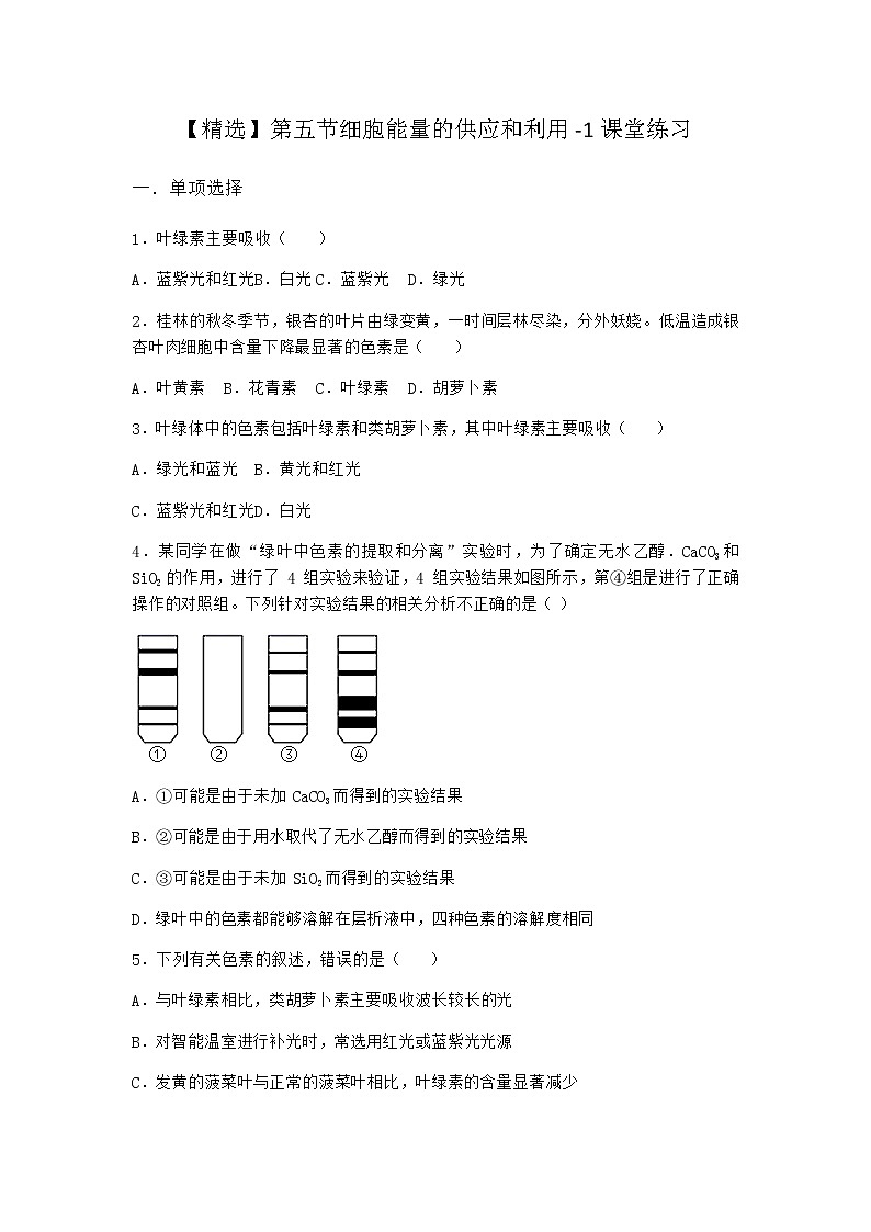 沪教版高中生物必修1第五节细胞能量的供应和利用课堂作业含答案第1页