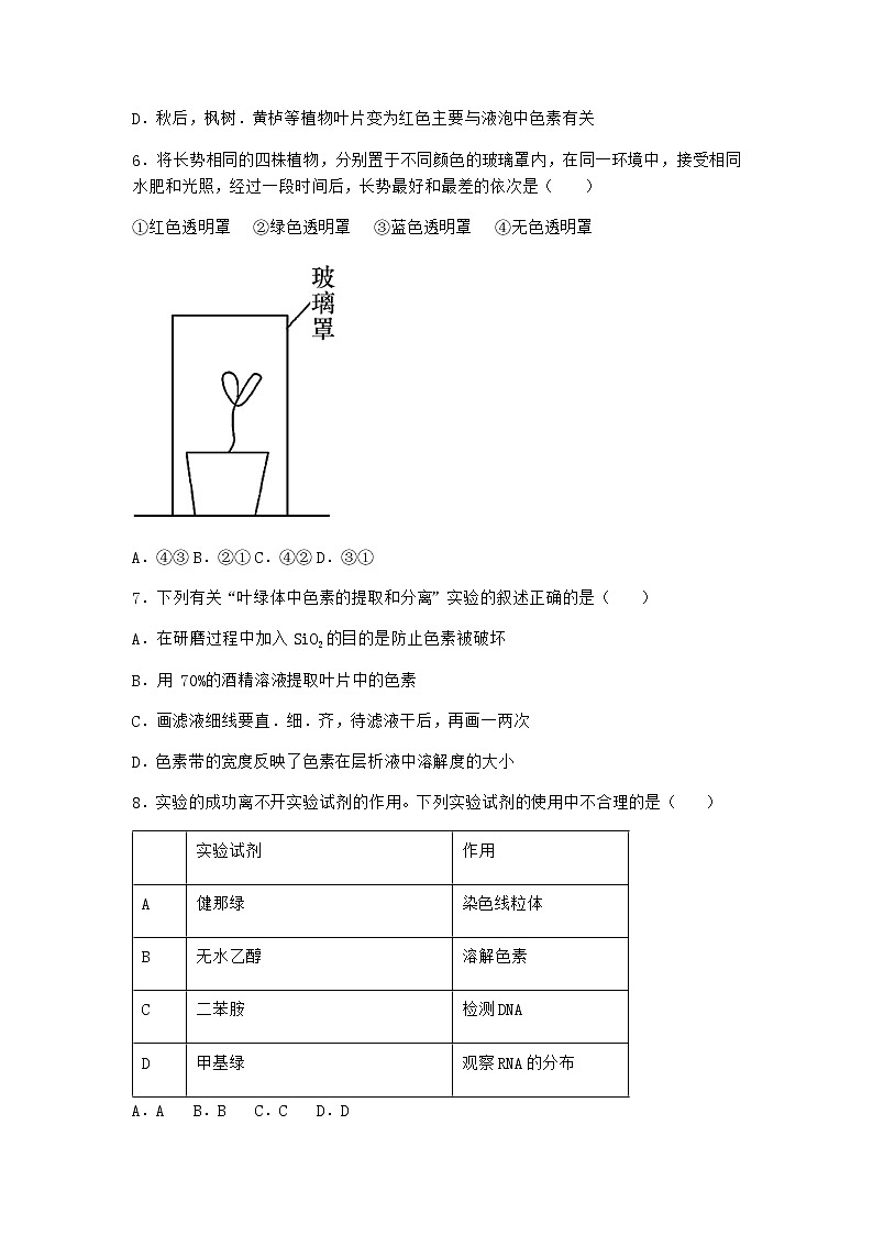 沪教版高中生物必修1第五节细胞能量的供应和利用课堂作业含答案第2页