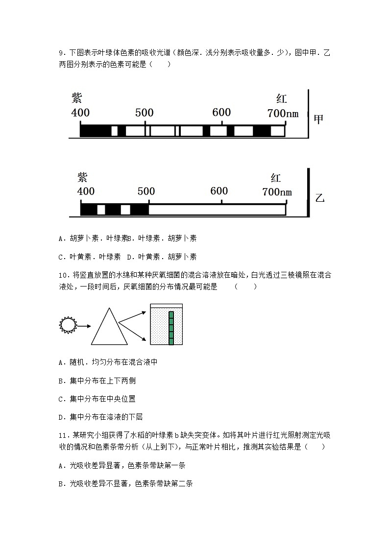 沪教版高中生物必修1第五节细胞能量的供应和利用课堂作业含答案第3页