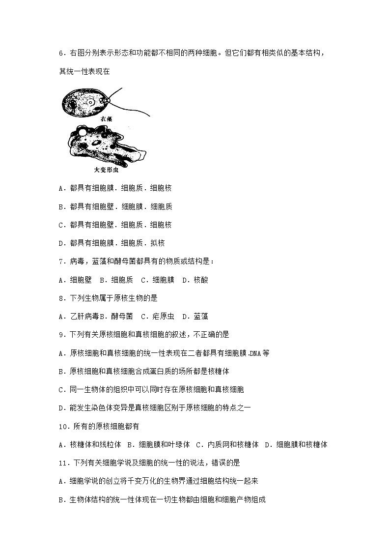 沪教版高中生物必修1第二节生物体由多种多样的细胞构成同步作业含答案02