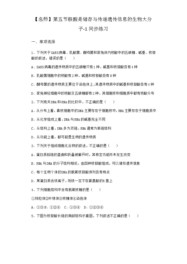 沪教版高中生物必修1第五节核酸是储存与传递遗传信息的生物大分子同步作业含答案1第1页