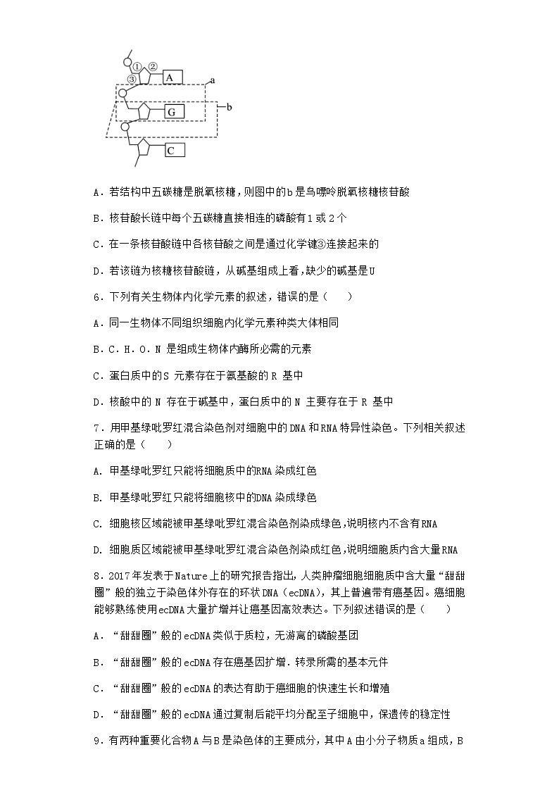 沪教版高中生物必修1第五节核酸是储存与传递遗传信息的生物大分子同步作业含答案1第2页