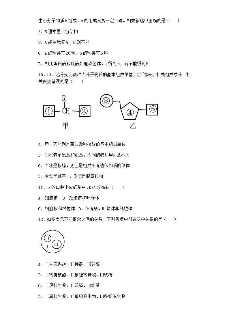 沪教版高中生物必修1第五节核酸是储存与传递遗传信息的生物大分子同步作业含答案1第3页