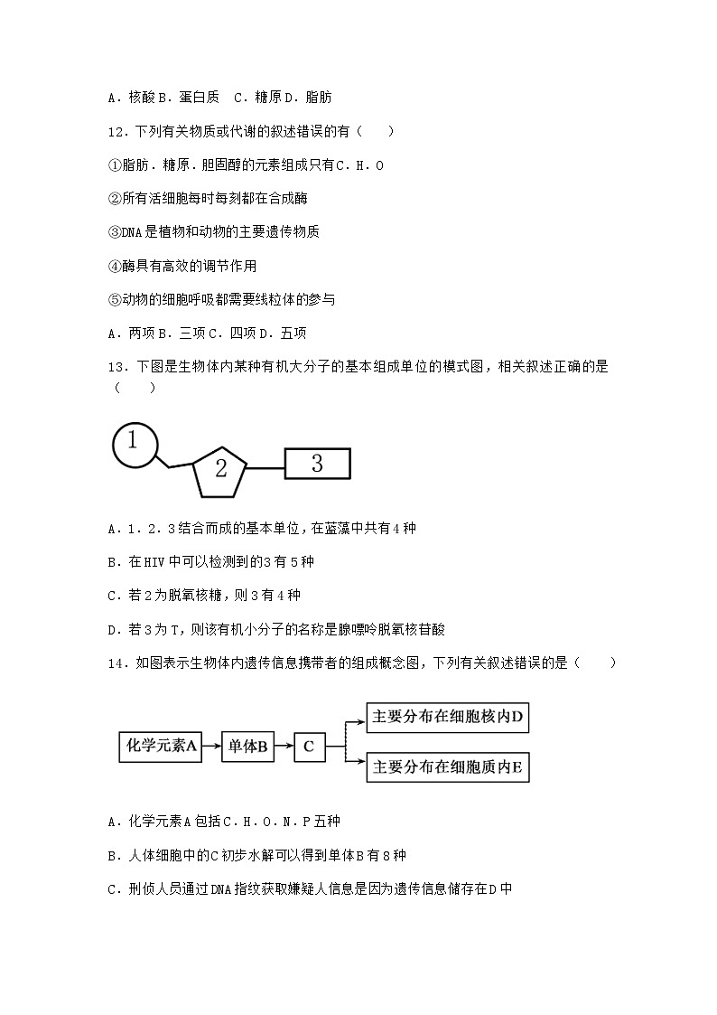 沪教版高中生物必修1第五节核酸是储存与传递遗传信息的生物大分子同步作业含答案2第3页