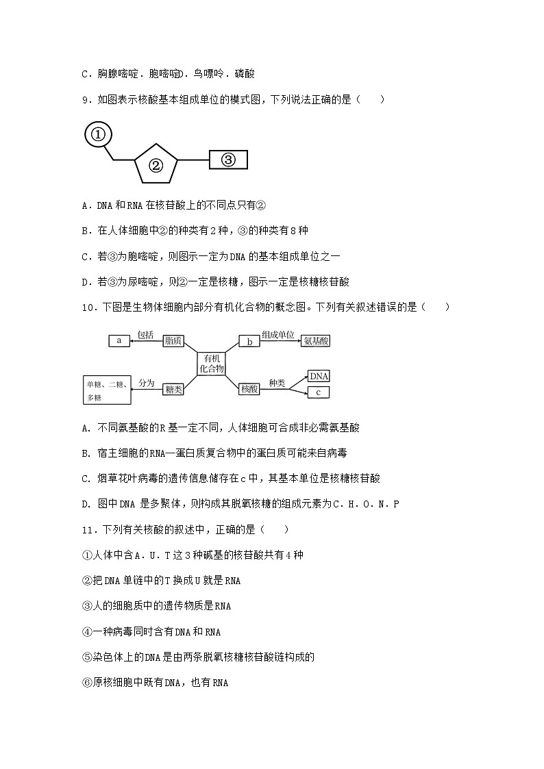 沪教版高中生物必修1第五节核酸是储存与传递遗传信息的生物大分子同步作业含答案3第3页