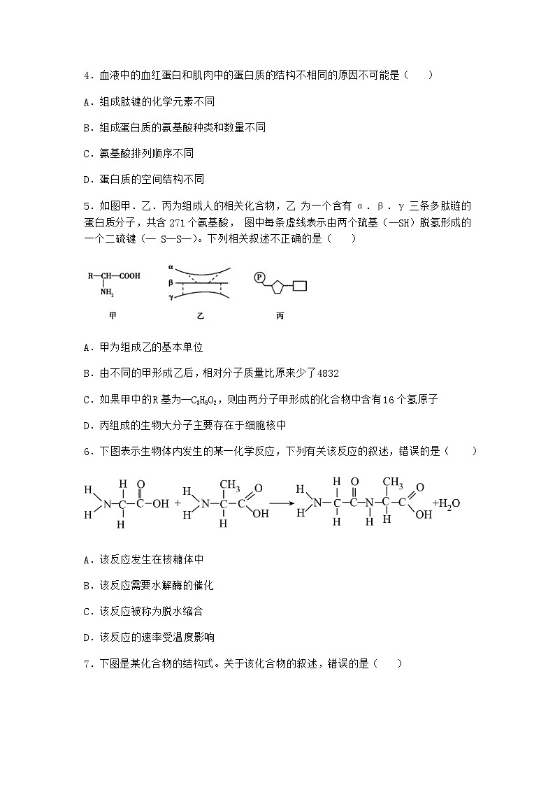 沪教版高中生物必修1第四节细胞的功能主要由蛋白质完成同步作业含答案第2页