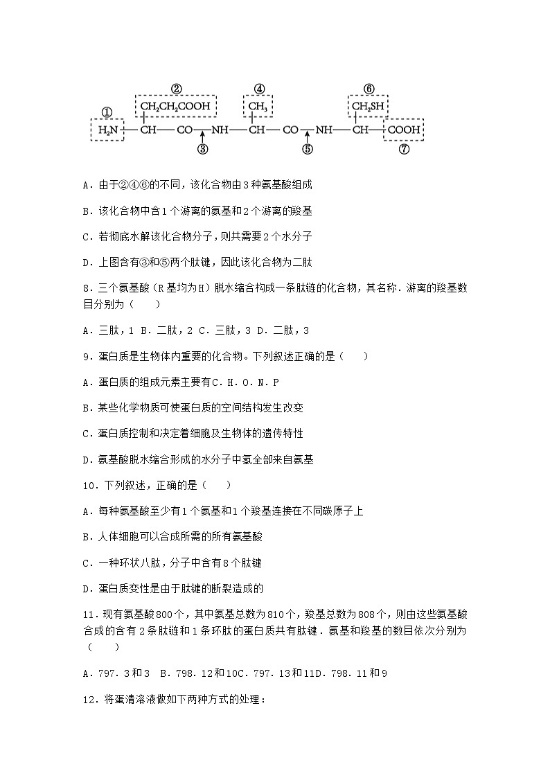 沪教版高中生物必修1第四节细胞的功能主要由蛋白质完成同步作业含答案第3页