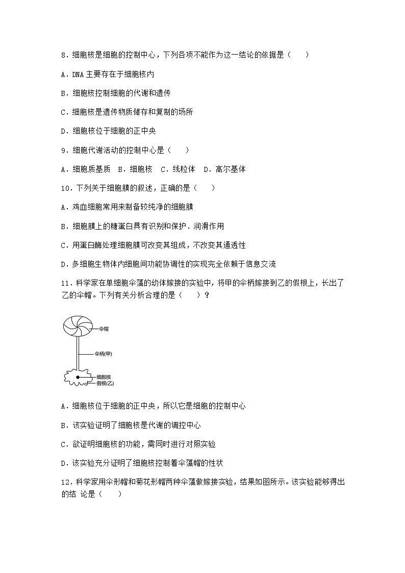 沪教版高中生物必修1第三节遗传信息主要储存在细胞核中同步作业含答案1第3页
