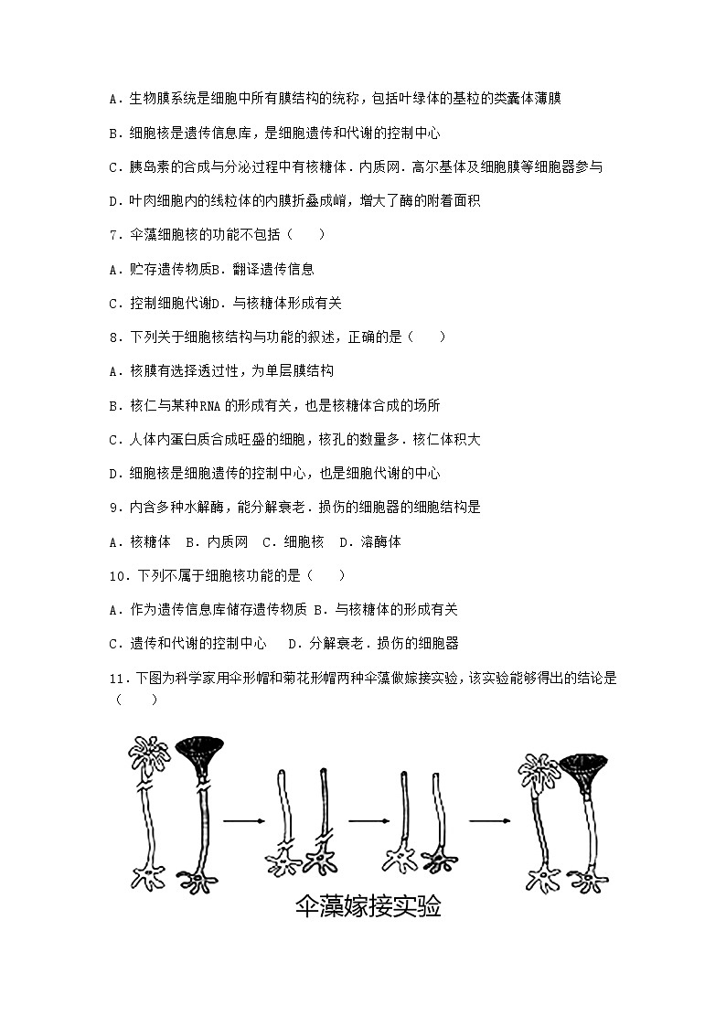 沪教版高中生物必修1第三节遗传信息主要储存在细胞核中同步作业含答案2第3页