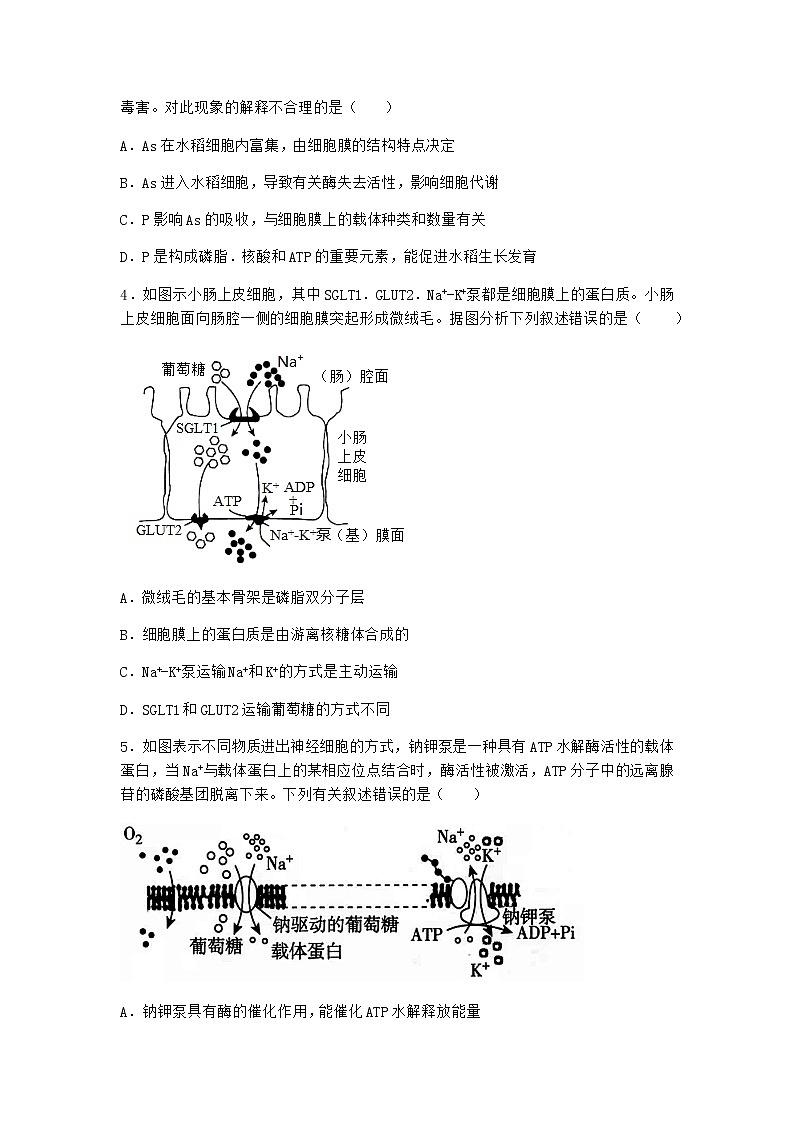 沪教版高中生物必修1第一节质膜参与物质交换和信息交流同步作业含答案3第2页