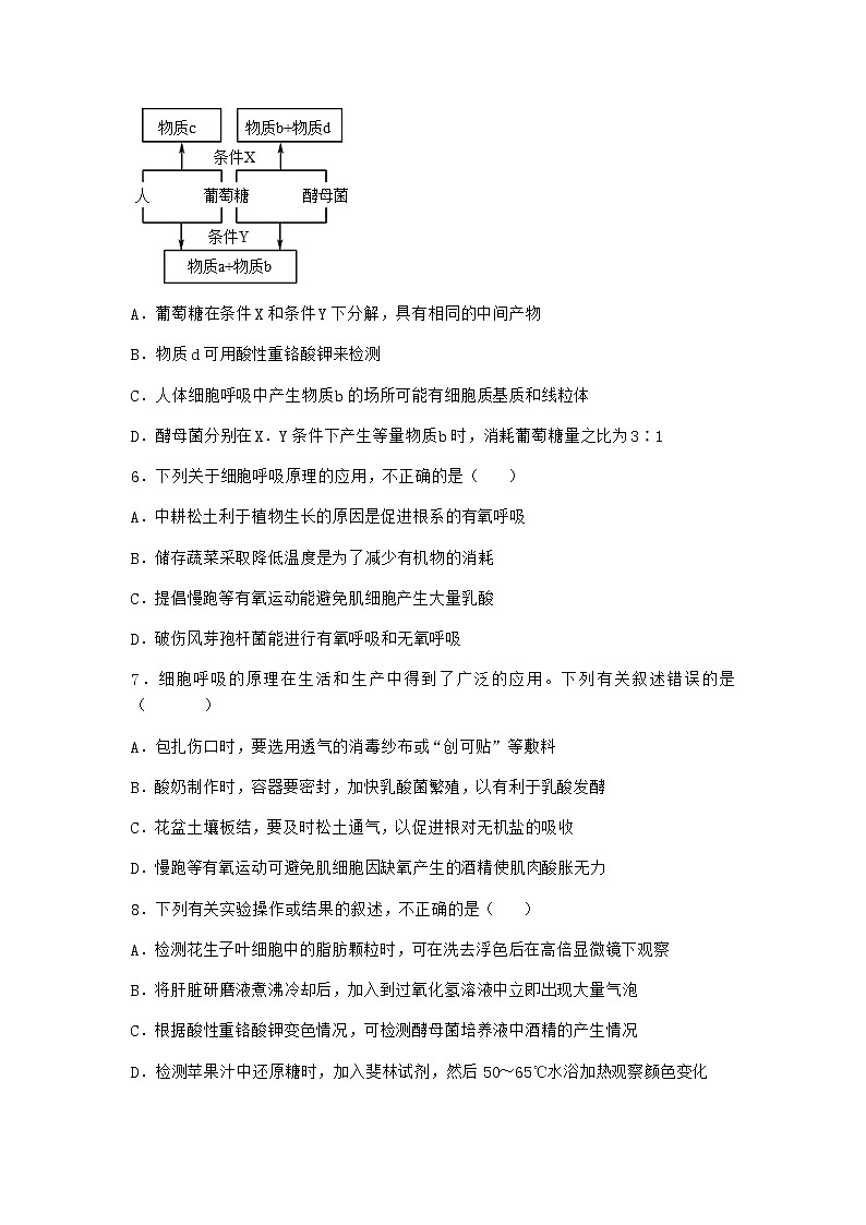 沪教版高中生物必修1第三节ATP是驱动细胞生命活动的直接能源物质同步作业含答案第3页