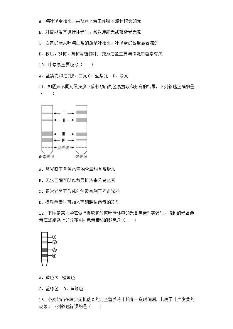 沪教版高中生物必修1第五节细胞能量的供应和利用同步作业含答案1第3页