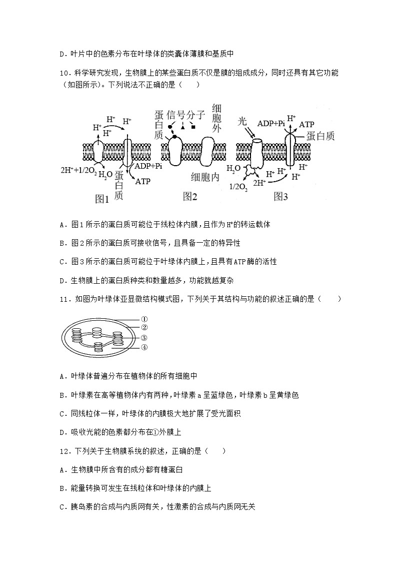 沪教版高中生物必修1第五节细胞能量的供应和利用同步作业含答案3第3页