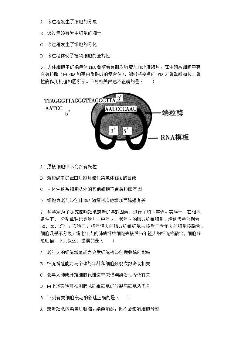 沪教版高中生物必修1第三节细胞衰老是自然的生理过程同步作业含答案第2页