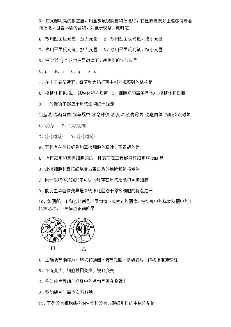 沪教版高中生物必修1第二节生物体由多种多样的细胞构成作业含答案4第2页