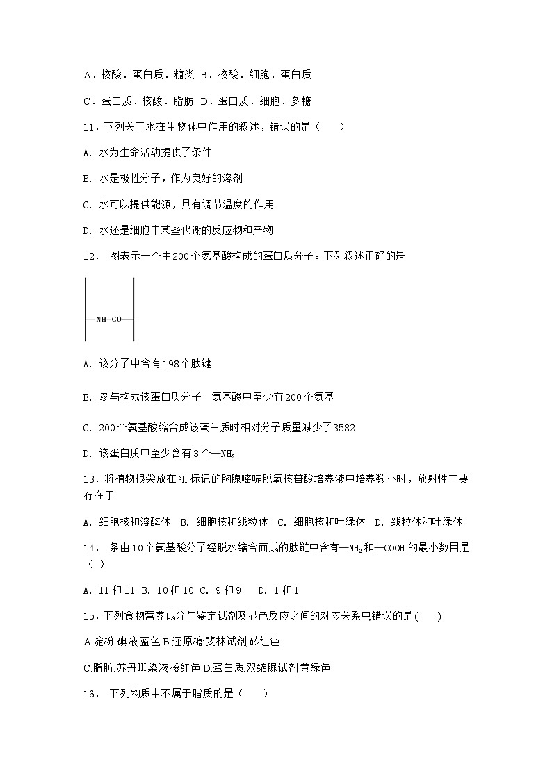 沪教版高中生物必修1第一节细胞由多种元素和化合物组成作业含答案2第3页
