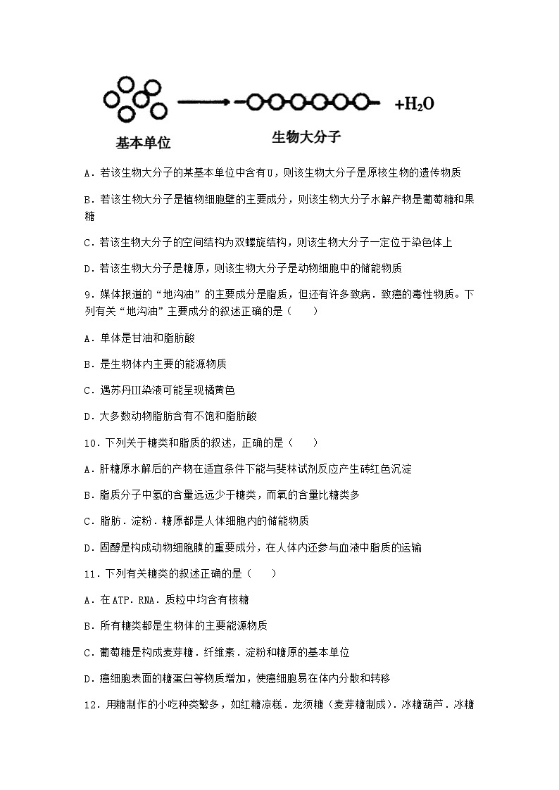 沪教版高中生物必修1第三节糖类和脂质对细胞的结构和功能具有重要作用作业含答案203