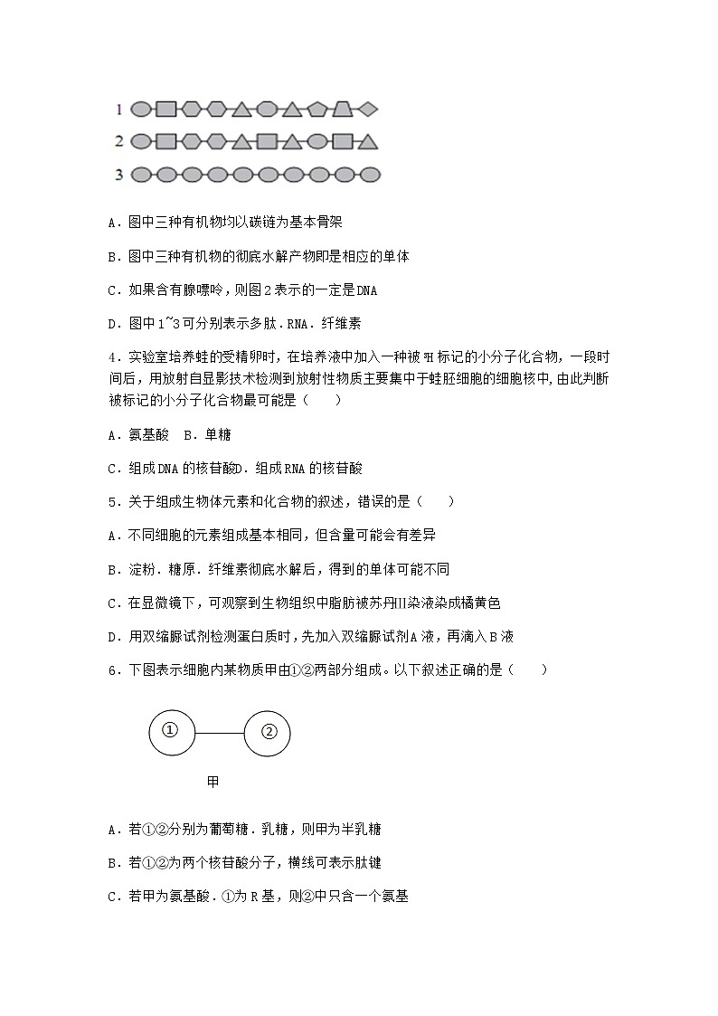 沪教版高中生物必修1第三节糖类和脂质对细胞的结构和功能具有重要作用作业含答案3第2页