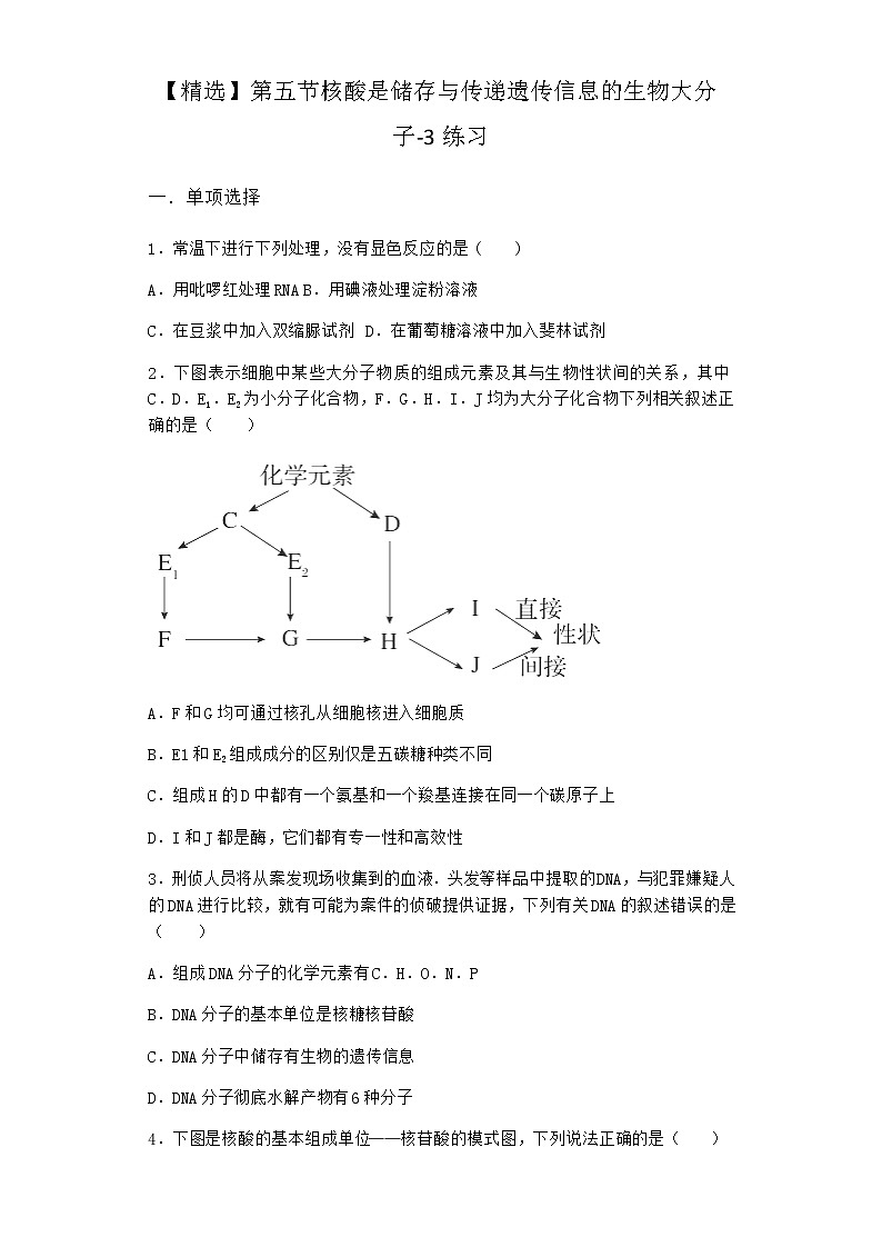 沪教版高中生物必修1第五节核酸是储存与传递遗传信息的生物大分子作业含答案1第1页