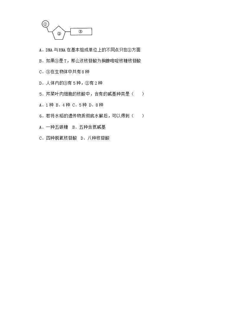 沪教版高中生物必修1第五节核酸是储存与传递遗传信息的生物大分子作业含答案1第2页
