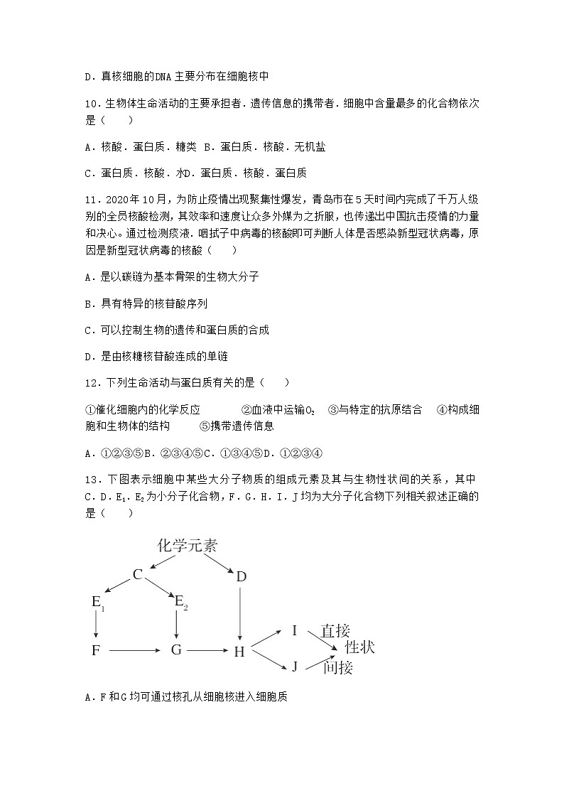 沪教版高中生物必修1第五节核酸是储存与传递遗传信息的生物大分子作业含答案203