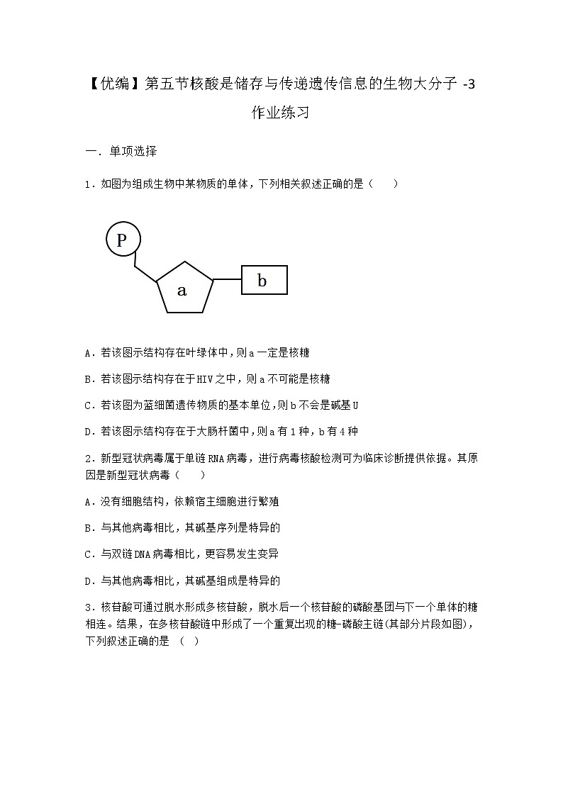 沪教版高中生物必修1第五节核酸是储存与传递遗传信息的生物大分子作业含答案401