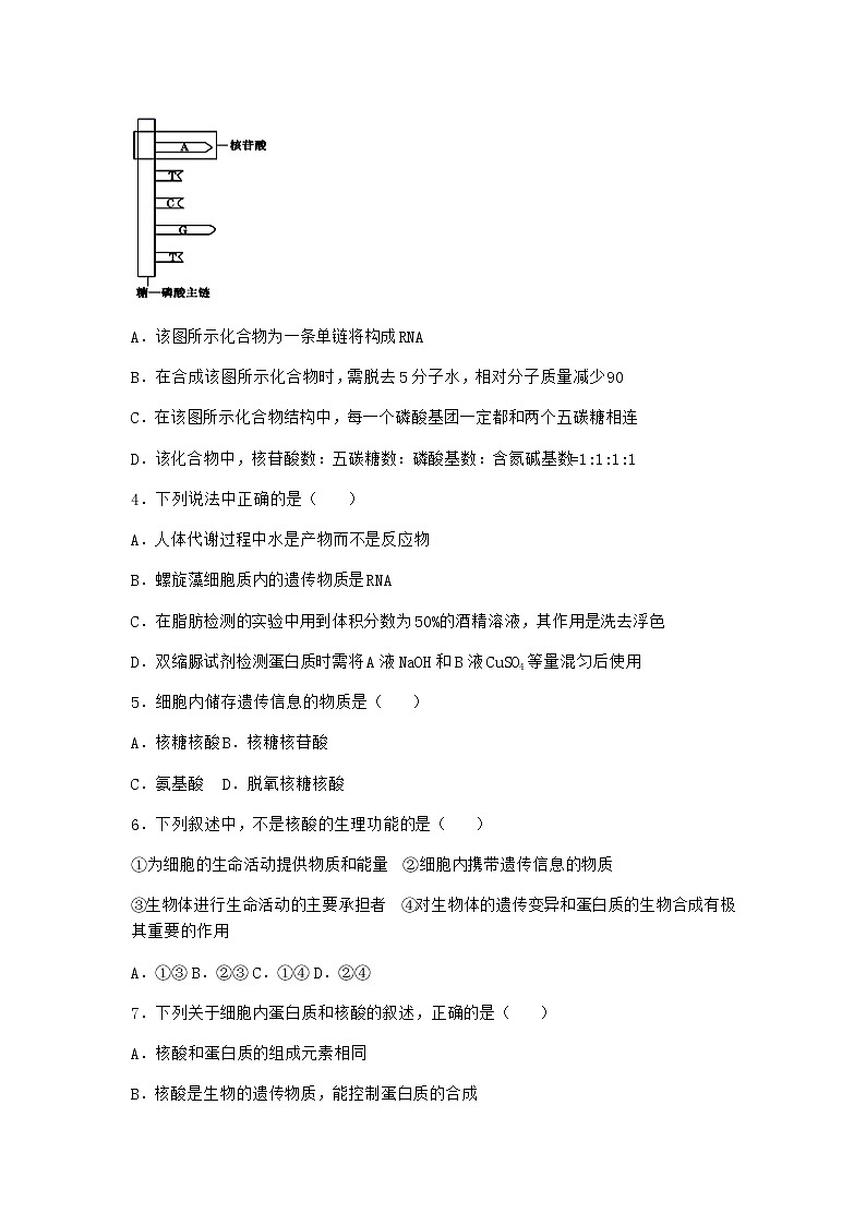 沪教版高中生物必修1第五节核酸是储存与传递遗传信息的生物大分子作业含答案402