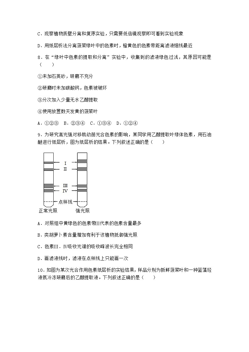 沪教版高中生物必修1第四节光能的捕获、转化和储存优选作业含答案1第3页